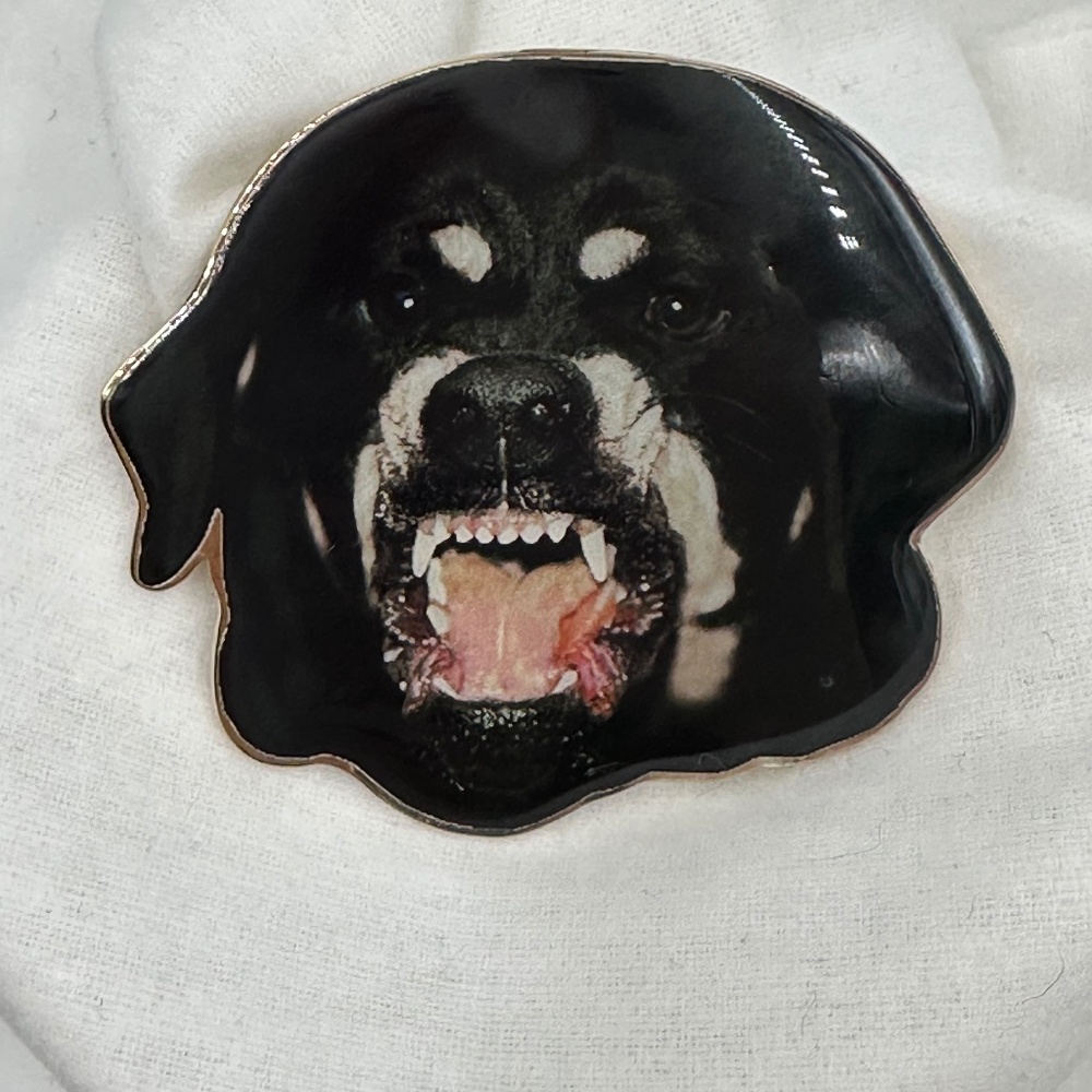 Givenchy Pin BNIB - Picture 4 of 7